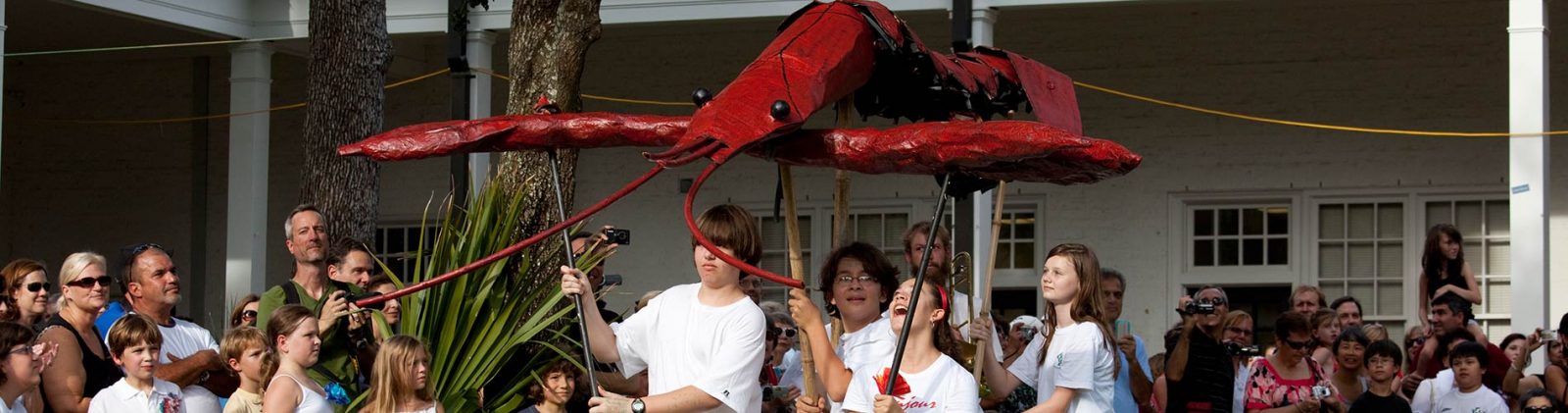 About CDCA: Children's Summer Arts Camp About CDCA: Summer Arts Camp for Kids